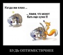 Фотография Алексей Баянов