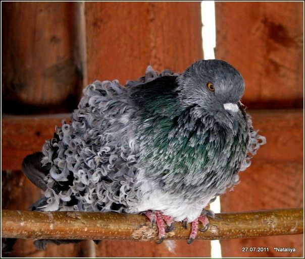 №72, Анастасия Гореликова, 34 года, Ярославль №72, Анастасия Гореликова, 34 года, Ярославль