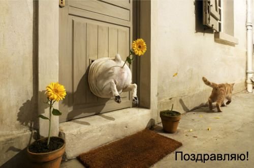 Елена Орлова | Белгород