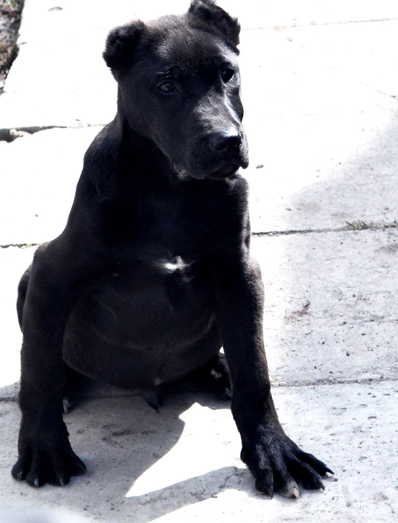 Nazerke Nurtas | Астана / Нур-Султан