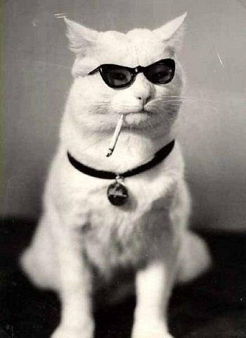 Никита Тодоров | Екатеринбург