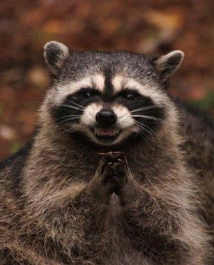 Алёна Замышляева | Луна