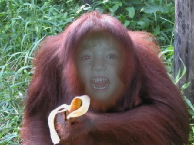 Вячеслав Соколов Рудольфович | 