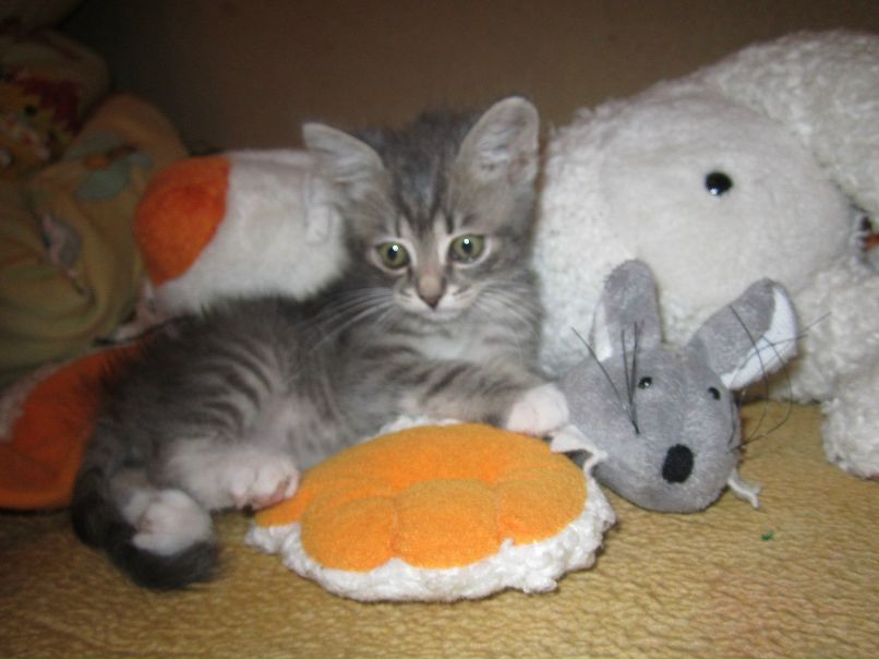 Светлана Руцкая | Минск