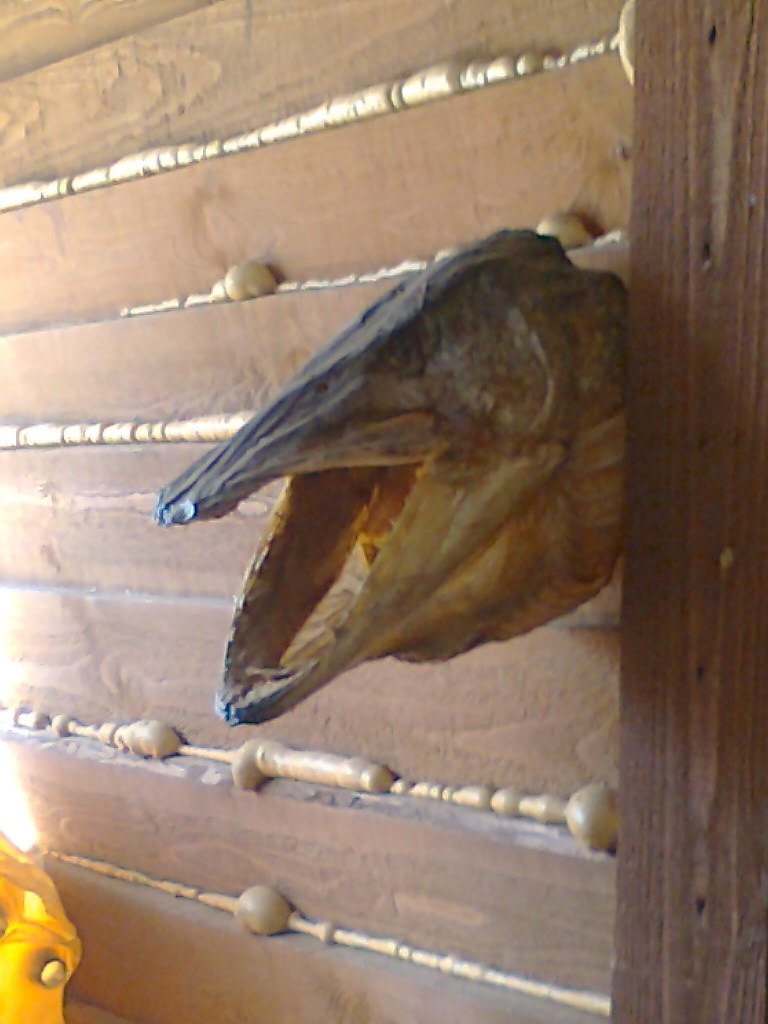 Артем Шлеменко | Самара