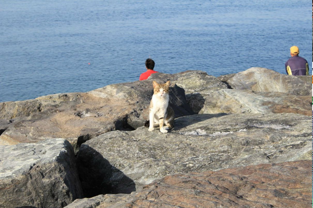 Иван Яичкин | Электросталь