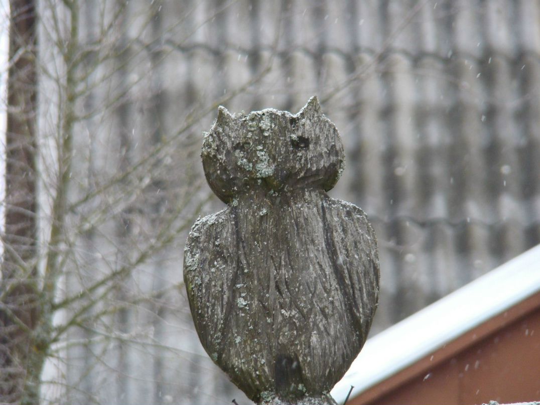 Ия Жестина Человех | 