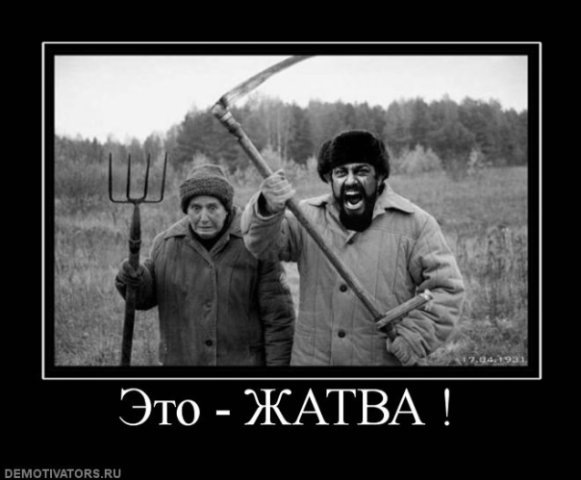 №6, Максим Гредюшко, 29 лет, Казань №6, Максим Гредюшко, 29 лет, Казань