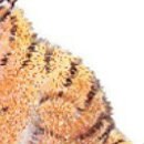 Алина Кузнецова СОВЕРШЕНСТВО | Красноярск