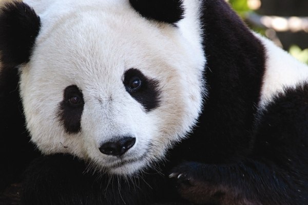 Анна Ляховецкая | Одесса