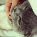 №6, Маргарита Примакова, 4.8.1990, 35 лет, Москва, Россия