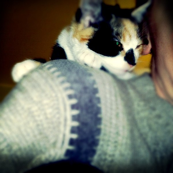 Михаил Михайлов | Запорожье