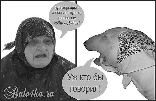 №193, Жанна Саган, 36 лет, Киев №193, Жанна Саган, 36 лет, Киев