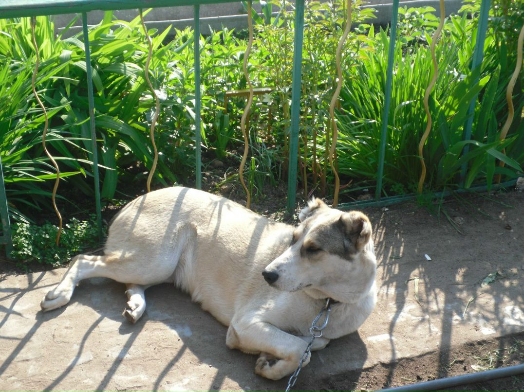 Татьяна Полушина | Москва