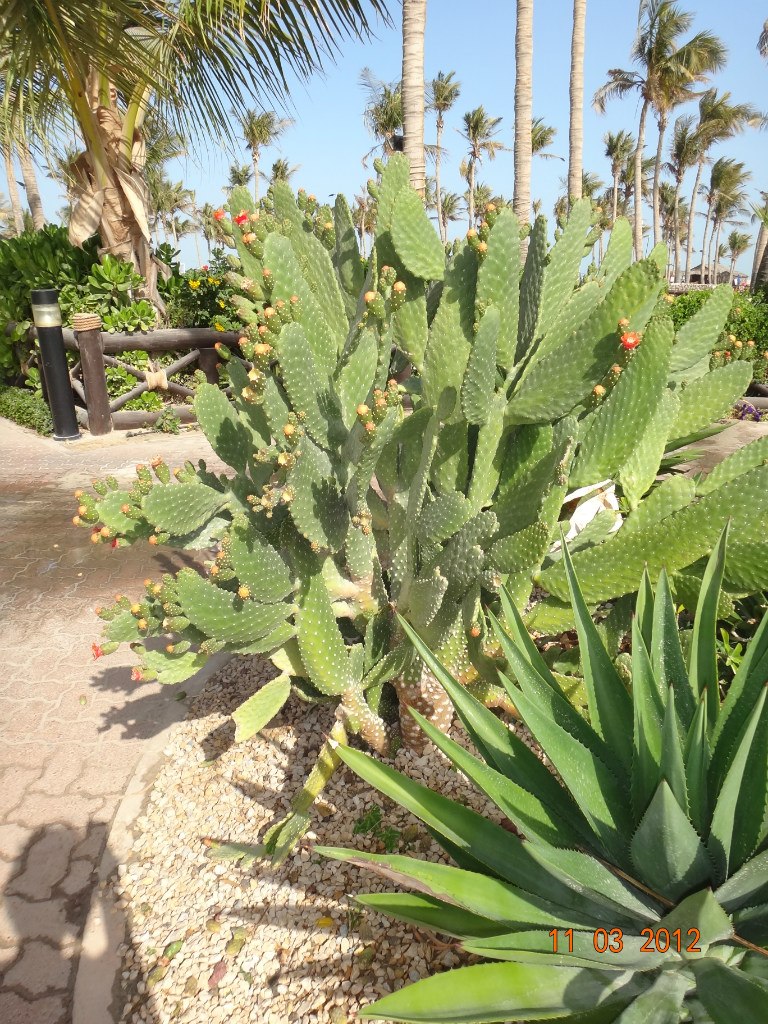 Ольга Кардапольцева | Уфа