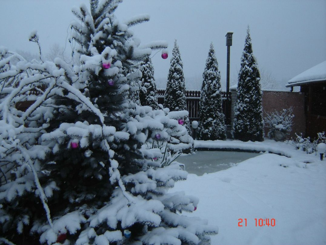 Леонтий Мучко Владимирович | Брест