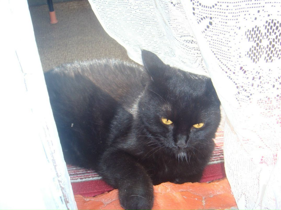 Марина Кондратьева | Калуга