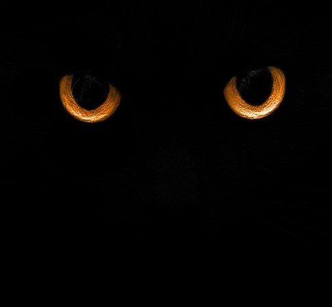 Ольга Дыба | 