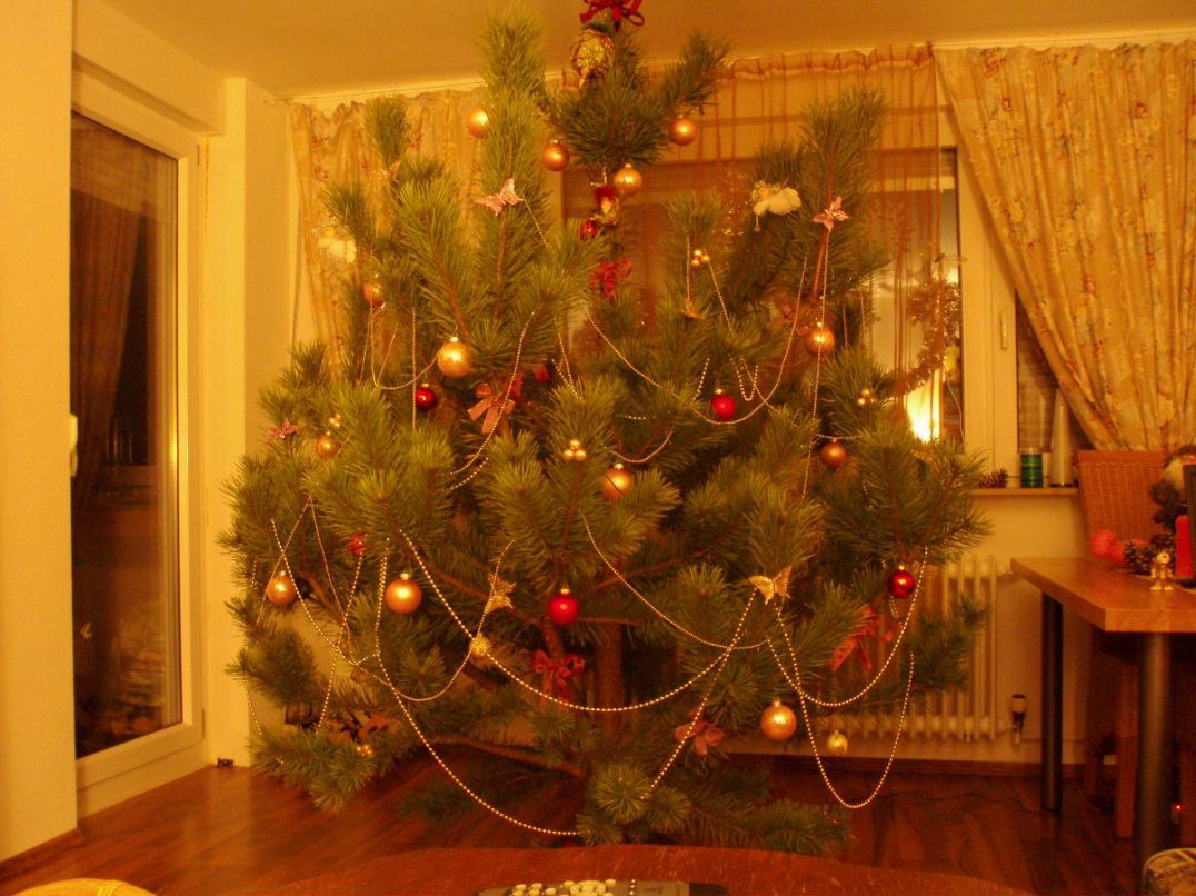 Оксана Зубрич | Киев