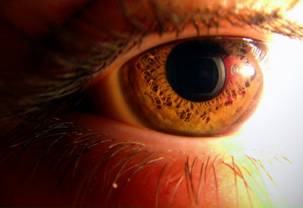 №59, Сергій Кисіль, Днепр (Днепропетровск) №59, Сергій Кисіль, Днепр (Днепропетровск)