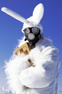 Александр Чеботарь | Черкассы