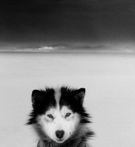 Надежда Ледышева | Москва