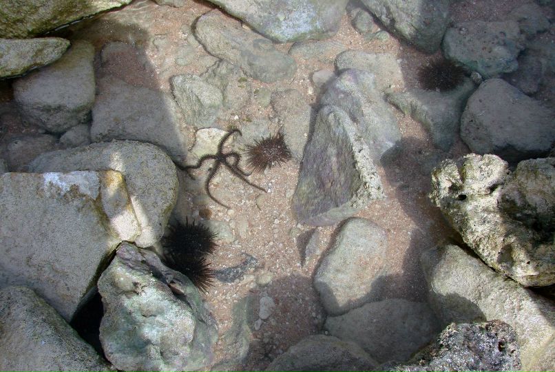 Elizabeth Plis | Ставрополь