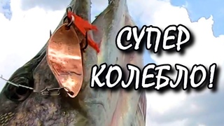Эта колебалка поймала всю щуку! Жесть рыбалка!