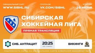 Летний Кубок СХЛ. “Сибирский Антрацит“ - “Викинги“. ЛДС “Сибирь“ .  г.