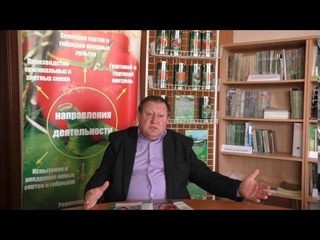 Почему овощные культуры нельзя выращивать по технологии прямого посева. Беседа ...