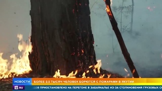 Огненный апокалипсис: Якутия продолжает бороться с лесными пожарами