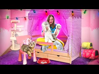 24 ЧАСА В КРОВАТИ-ДОМИКЕ С КОТАМИ И СОБАКОЙ | КЛЕИМ РАДУЖНЫЕ ТАТУ