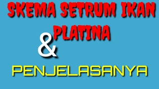 SKEMA SETRUM IKAN PLATINA