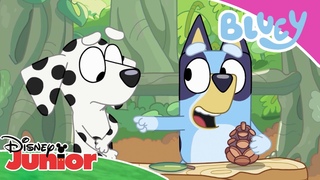 Gotowi na zakupy | Blue | Disney Junior Polska