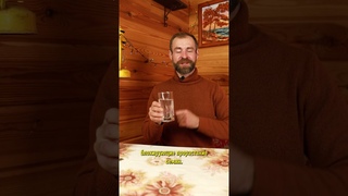 Яблоня из семечка Легко! Вот как получить много бесплатных крепких сеянцев для своего сада
