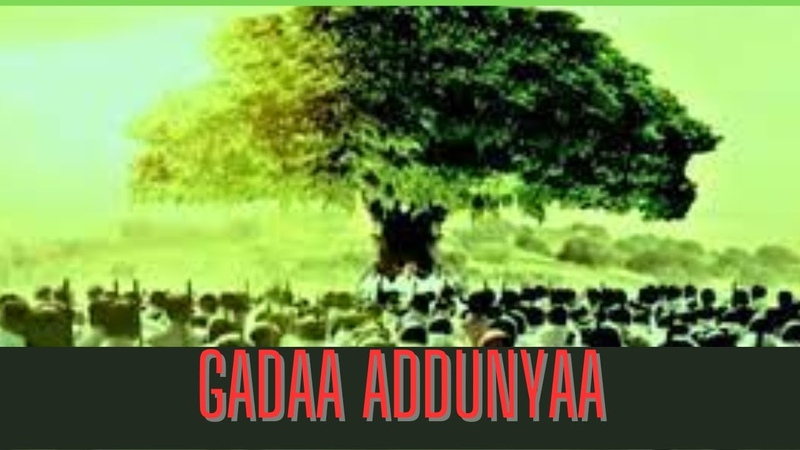 Dhimma Gadaa Oromoofi Addunyaa Dec 12, 2023:,