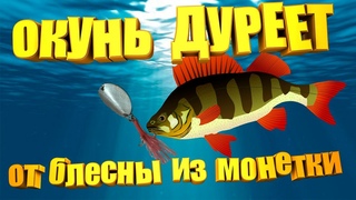 БРАКОНЬЕРСКАЯ блесна “УБИЙЦА ОКУНЯ“ из МОНЕТКИ за копейки!!! Без улова не останешься...