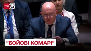 Бойові комарі - чергова байка Росії на засіданні ООН насмішила світ