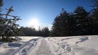 Я могучий шерстяной волчара, как мощны мои лапищи!