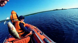 РОДНЯ В ШОКЕ! СУДАК, ОКУНЬ. РЫБАЛКА НА СПИННИНГ!