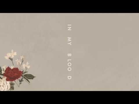 Shawn Mendes In My Blood ( Audio), GOD MENDES, Shawn