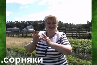Советы летние 2
