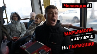 Коми песня МАРЬЯМОЛЬ в АВТОБУСЕ | Челлендж | Песня на ГАРМОНИ