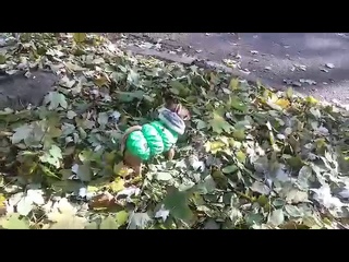 Chihuahua Garik likes autumn