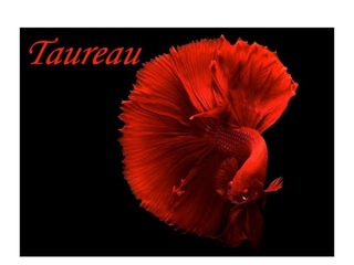 Horoscope Taureau  Semaine du 30 Janvier 2023 : Retrouvez votre Stabilité !