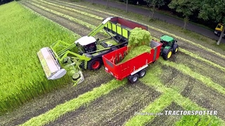 Harvesting fiber hemp | Claas Xerion 4000 | Vezelhennep oogst | DunAgro