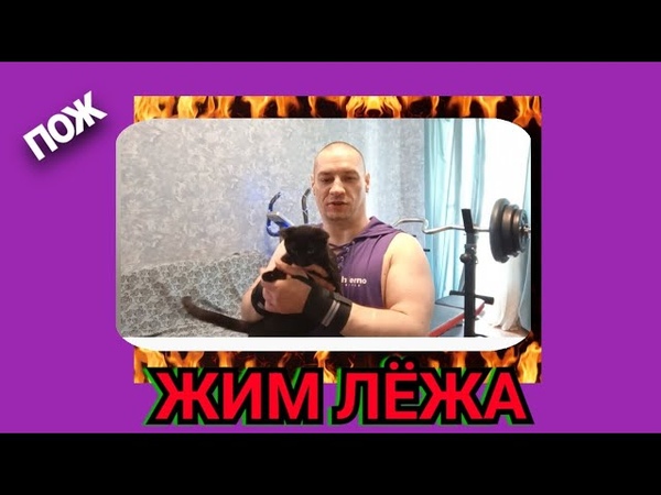 Лёгкая тренировка грудных, Киса не любит камеру, Жим