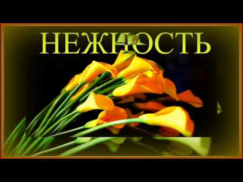 8 Душевная Пауза , Office Break