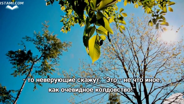 Красивое чтение суры Худ (1 12). Мишари Рашид, природа FULL