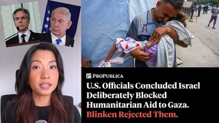 U.S. Officials Concluded Israel Deliberately Blocked Humanitarian Aid to Gaza. Blinken Rejected Them